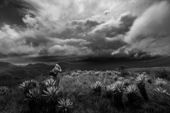 Explorador - Cerros orientales, Bogotá