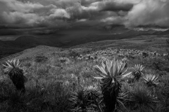 Bogotá - Cerros orientales, Bogotá