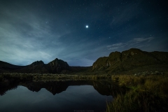 1_Reflejos