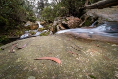 Quebrada las delicias