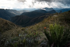 Paramo-de-Iguaque