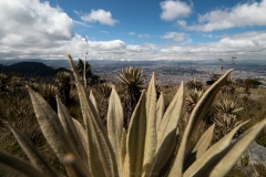 Paramo-las-Moyas