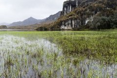 Parque-nacional-el-Cajas-Ecuador