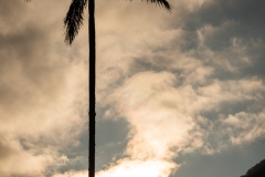 Valle-del-Cocora