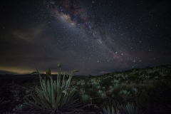 Via-lactea-sobre-el-paramo-de-Sumapaz