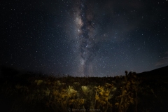 Via-lactea-sobre-valle-de-frailejones