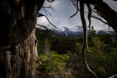 Vistas-a-los-picos-nevados